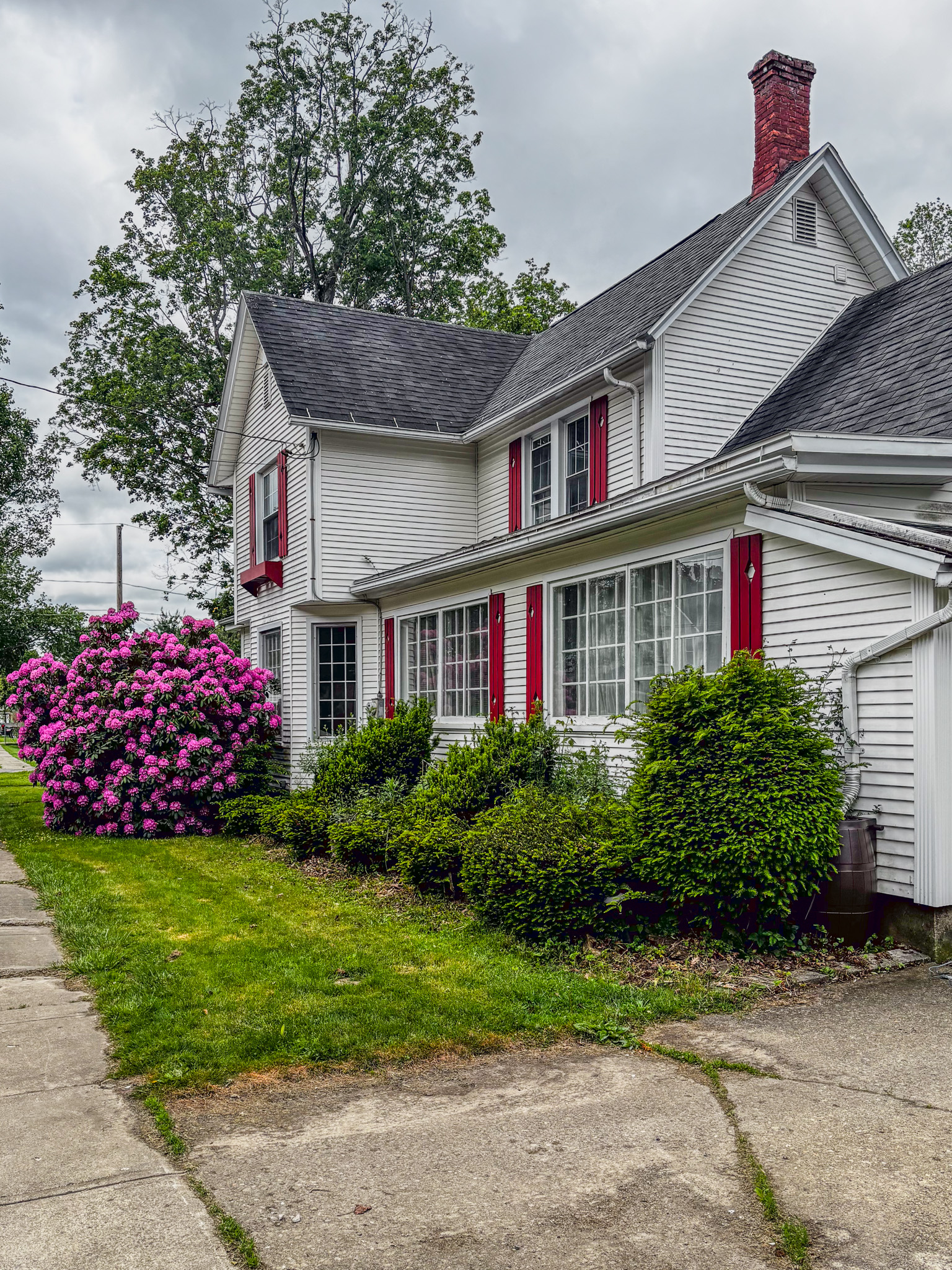 29 Pine Street photo 12